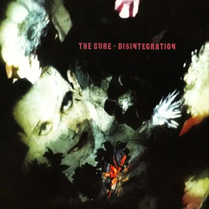 Disintegration